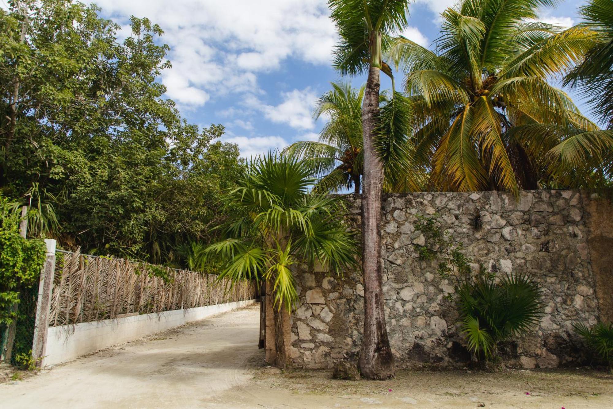 Angelina 28 Beachfront And Family Apartments - Modern And Relaxing Long Stays - 20 Min From Cancun Airport Puerto Morelos Zewnętrze zdjęcie